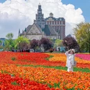 荷兰花海 - 盐城市旅游 缩略图 8