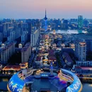 荷兰花海 - 盐城市旅游 缩略图 9