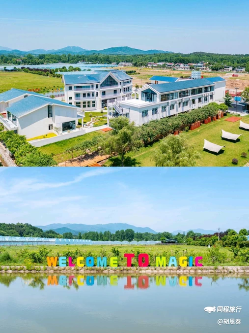 杜鹃岭 - 六安市旅游