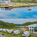 杜鹃岭 - 六安市旅游 缩略图 4