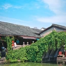 安昌古镇 - 绍兴市旅游 缩略图 9