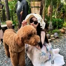 安吉猪罗纪营地 - 湖州市旅游 缩略图 8