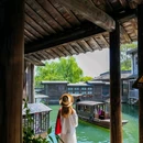 乌镇古镇旅游区 - 嘉兴市旅游 缩略图 5