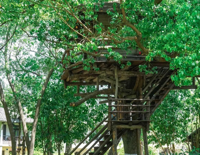 乌镇古镇旅游区 - 嘉兴市旅游 1