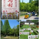 乌镇古镇旅游区 - 嘉兴市旅游 缩略图 8