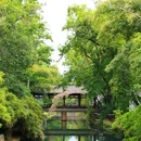 毛家湾森林公园 - 成都市旅游 缩略图 5