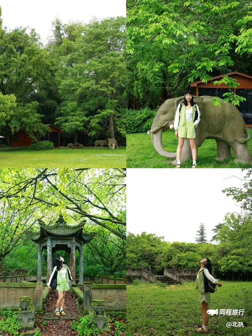 毛家湾森林公园 - 成都市旅游