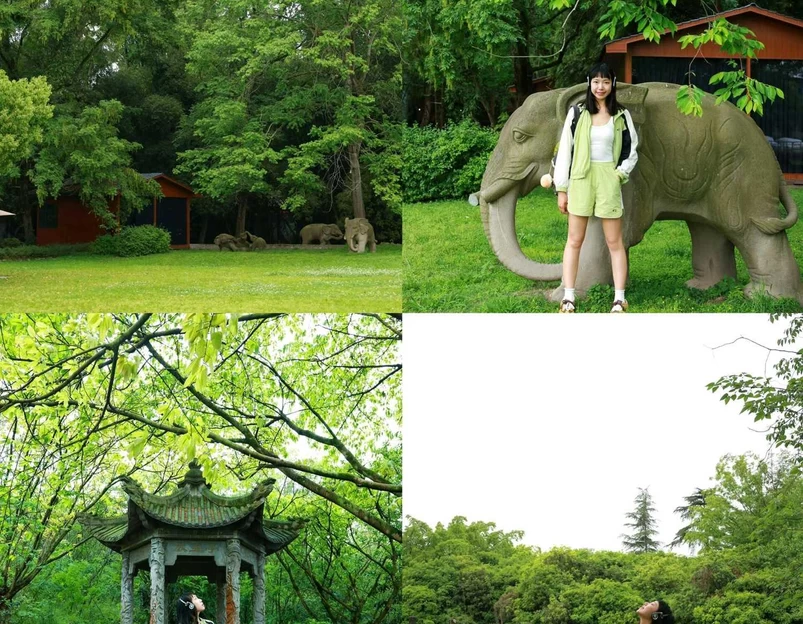 毛家湾森林公园 - 成都市旅游 1
