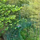 驾云山风景区度假山庄 - 湖州市旅游 缩略图 8