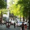鲲鹏村 - 江门市旅游 缩略图 9