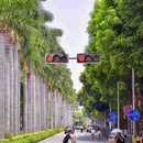 龙舟池 - 厦门市旅游 缩略图 3