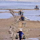 龙舟池 - 厦门市旅游 缩略图 5