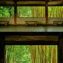 中山公园 - 深圳市旅游 缩略图 3