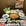 烟台市·酸糟糟海鲜牛肉火锅