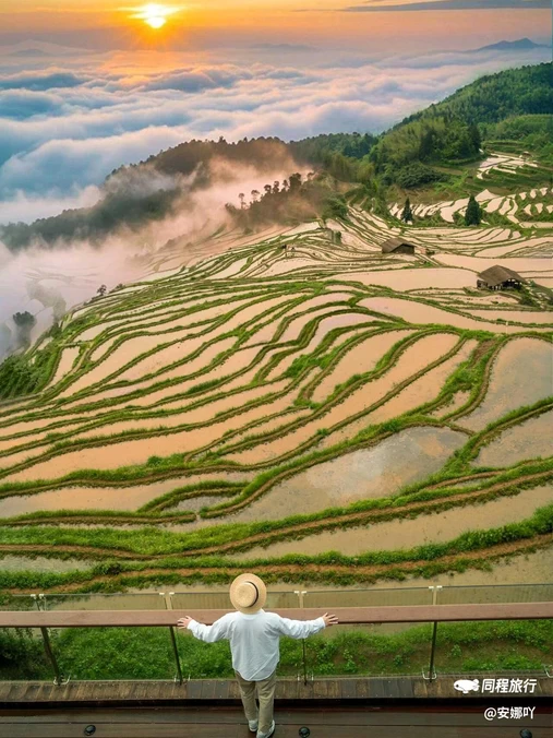 云和梯田景区 - 丽水市旅游