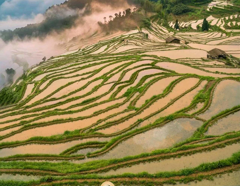 云和梯田景区 - 丽水市旅游 1