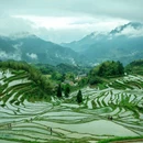 云和梯田景区 - 丽水市旅游 缩略图 9