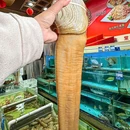 港湾工业区 - 深圳市旅游 缩略图 7