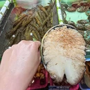 港湾工业区 - 深圳市旅游 缩略图 6
