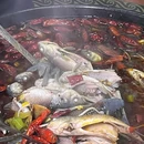 釜溪阁鱼苗火锅(金星店) - 昆明市旅游 缩略图 7