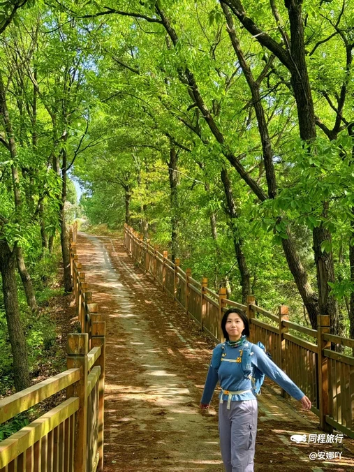 灵开寺 - 成都市旅游