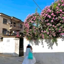 安庆迎江寺 - 安庆市旅游 缩略图 6