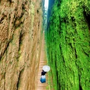 江郎山风景区 - 衢州市旅游 缩略图 1
