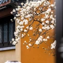 溧阳市博物馆 - 常州旅游 缩略图 6