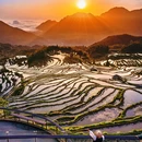 云和梯田景区 - 丽水市旅游 缩略图 1