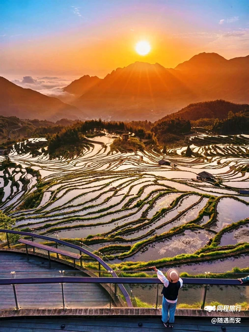 云和梯田景区 - 丽水市旅游