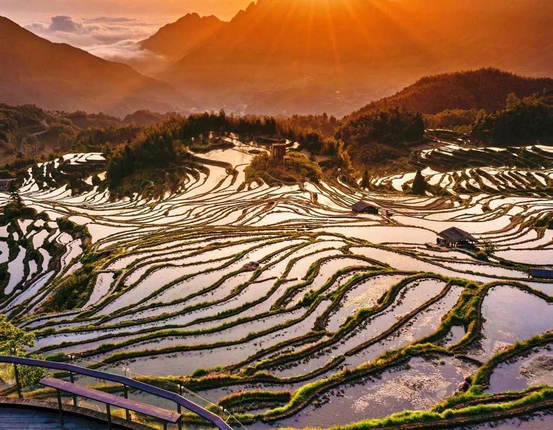 云和梯田景区 - 丽水市旅游 1