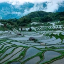 云和梯田景区 - 丽水市旅游 缩略图 9