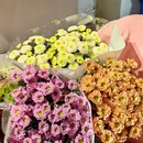 阿文鲜花 - 汕头市旅游 缩略图 5