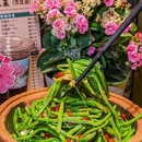 北京世界公园 - 北京市旅游 缩略图 2
