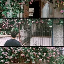 板门巷 - 合肥市旅游 缩略图 2