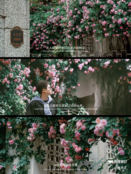 板门巷 - 合肥市旅游