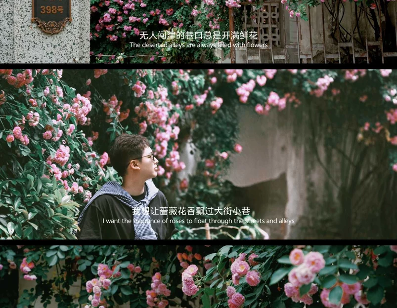 板门巷 - 合肥市旅游 1