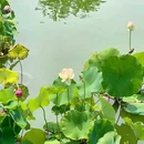 顺承郡王府 - 北京市旅游 缩略图 6