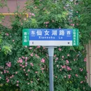 南岗惠园A区 - 合肥市旅游 缩略图 7