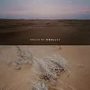 宁夏腾格里金沙海旅游度假区 - 中卫市旅游 缩略图 7