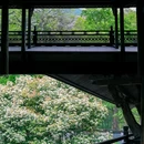 千柱屋 - 绍兴市旅游 缩略图 3