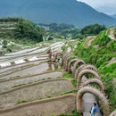 云和梯田景区 - 丽水市旅游 缩略图 3