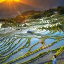 云和梯田景区 - 丽水市旅游 缩略图 2