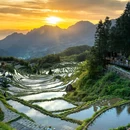 云和梯田景区 - 丽水市旅游 缩略图 5