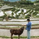 云和梯田景区 - 丽水市旅游 缩略图 6