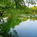 茅家埠景区 - 杭州市旅游 缩略图 5