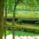茅家埠景区 - 杭州市旅游 缩略图 1