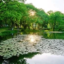 茅家埠景区 - 杭州市旅游 缩略图 6