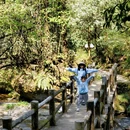 龙苍沟森林公园 - 雅安市旅游 缩略图 5