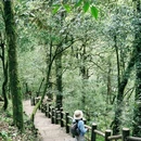 龙苍沟森林公园 - 雅安市旅游 缩略图 9